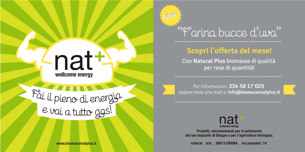 Nat Plus - Biomasse e Biogas